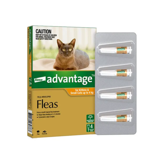 Advantage for Cats – Fast-Acting, Monthly Flea Treatment