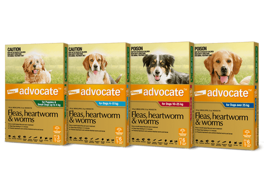 Advocate for Dogs - Monthly Spot-On Protection for Fleas, Heartworms & Worms