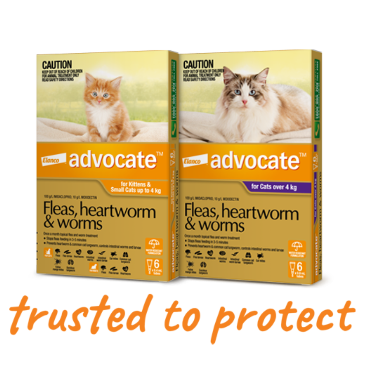 Advocate for Cats - All-in-One Monthly Protection from Fleas, Worms, Mites & Heartworm