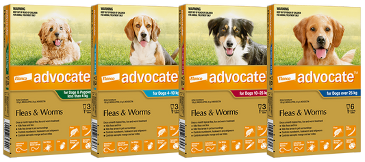 Advocate for Dogs - Monthly Spot-On Protection for Fleas, Heartworms & Worms