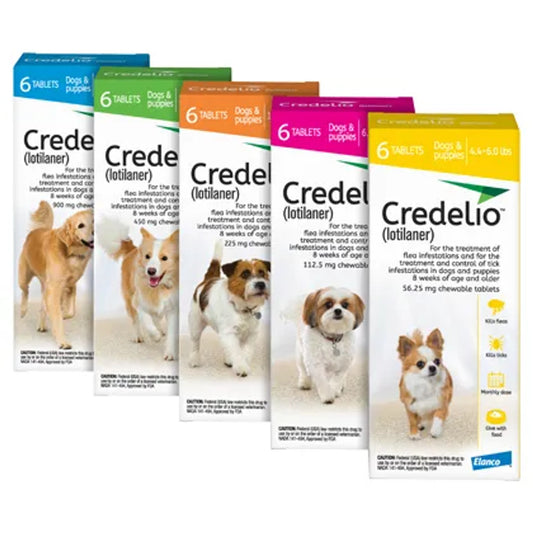 Credelio for Dogs - All-in-One Parasite Protection