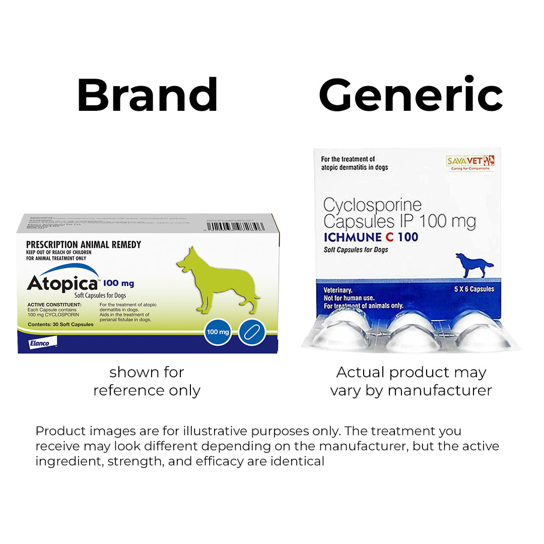 Cyclosporine Capsules for Dogs (Generic for Atopica) – Allergy & Skin Care