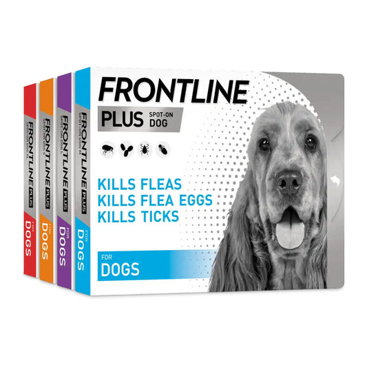 Frontline Plus for Dogs - Monthly Spot-On Flea & Tick Protection