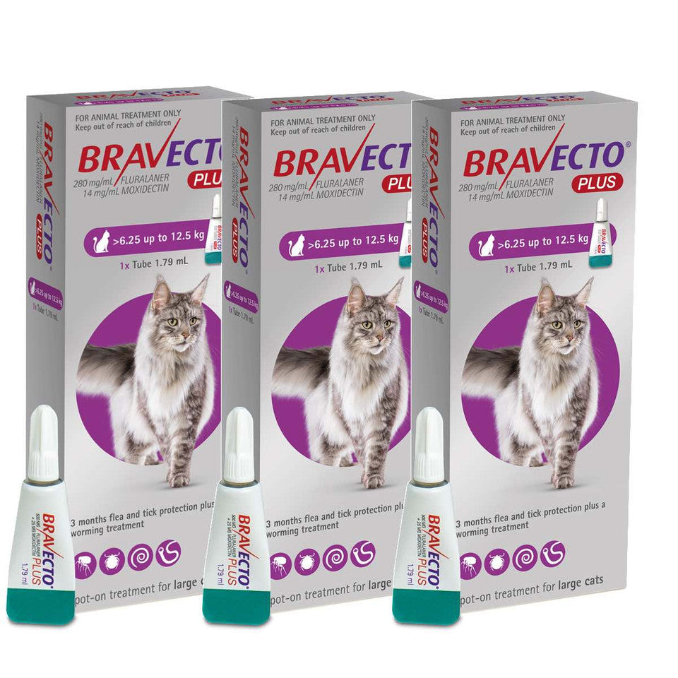 Bravecto Plus for Cats - Comprehensive Flea, Tick & Worm Protection