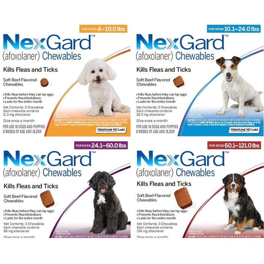 NexGard for Dogs - Powerful Monthly Protection Against Fleas & Ticks