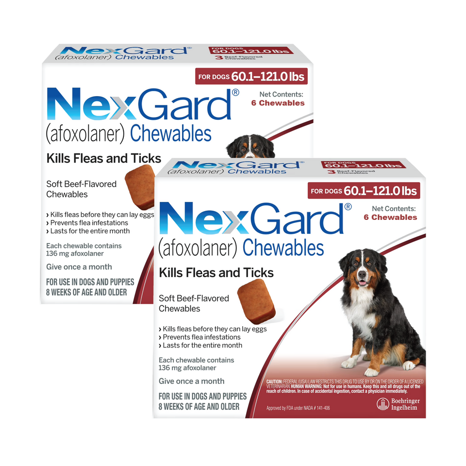 NexGard for Dogs - Powerful Monthly Protection Against Fleas & Ticks
