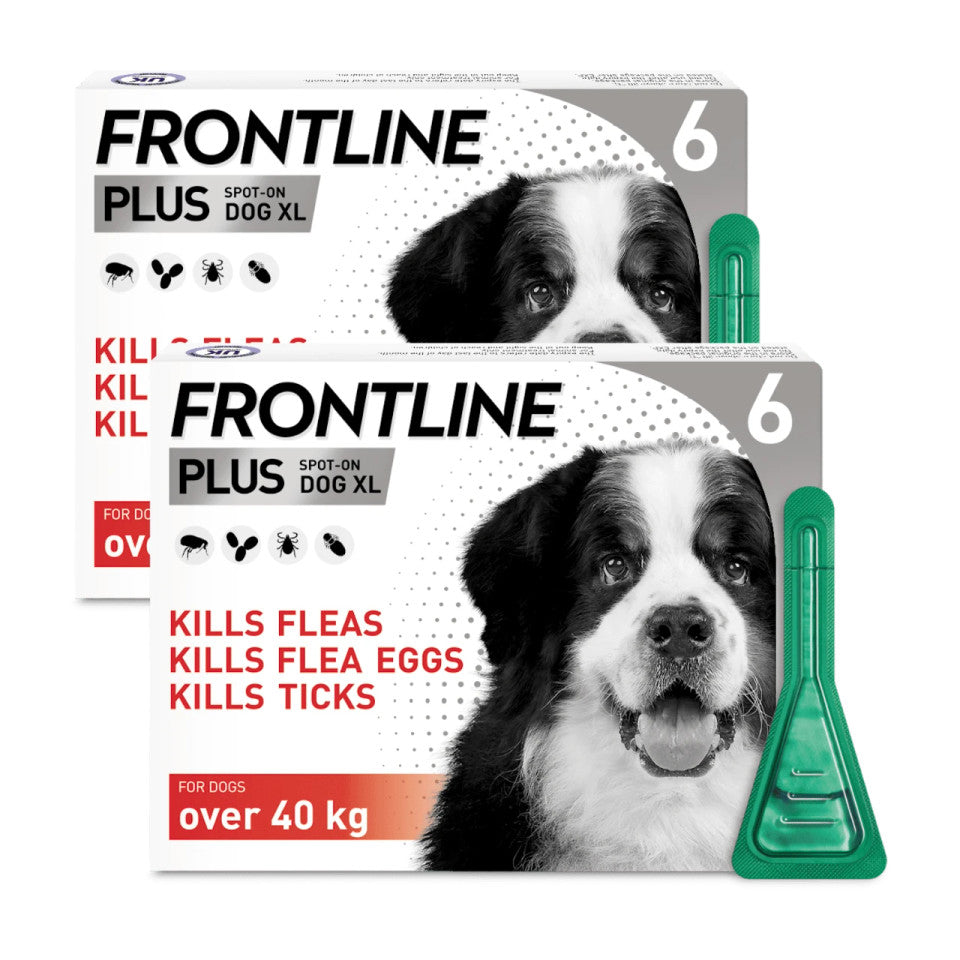 Frontline Plus for Dogs - Monthly Spot-On Flea & Tick Protection