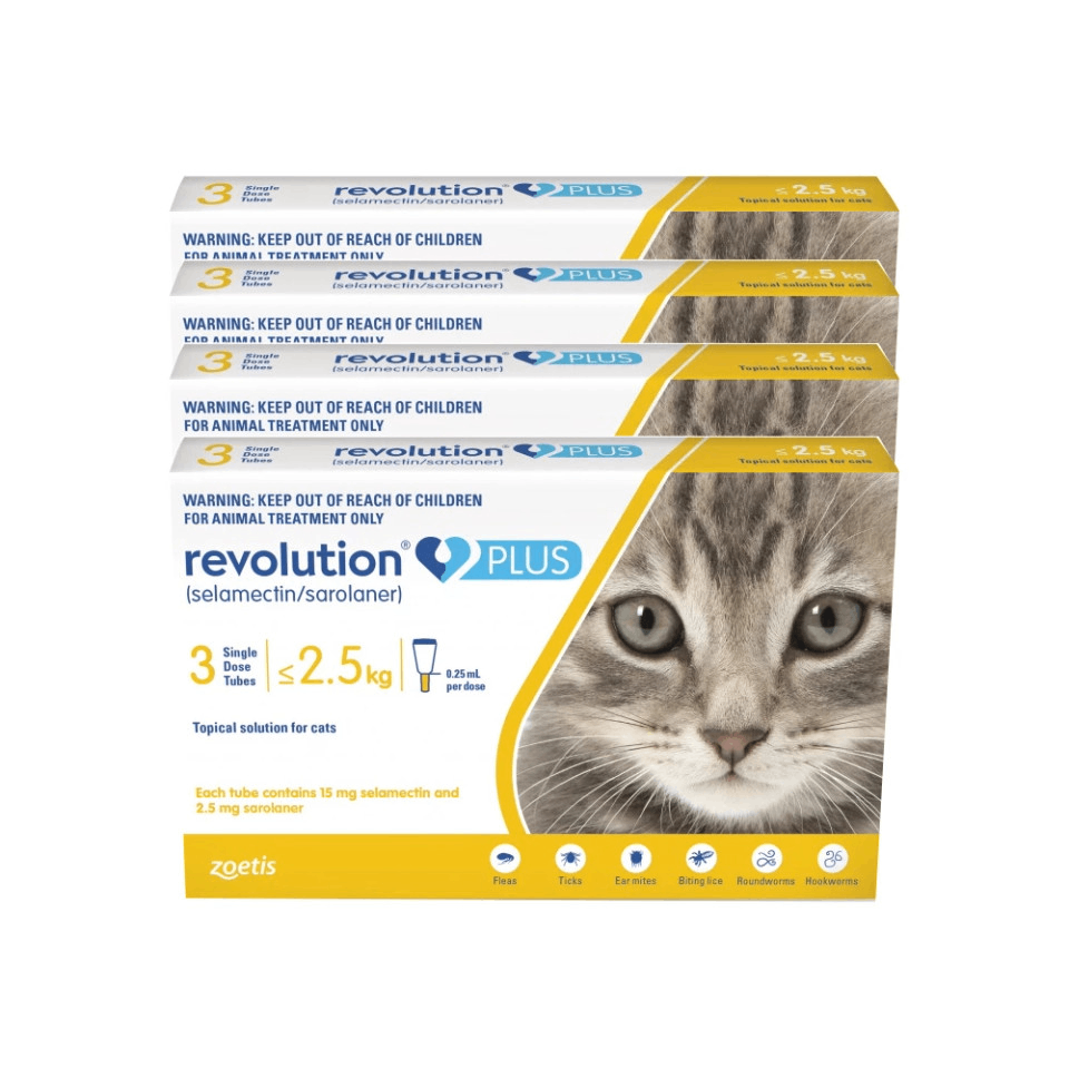 Revolution Plus for Cats - 6-in-1 Parasite Protection