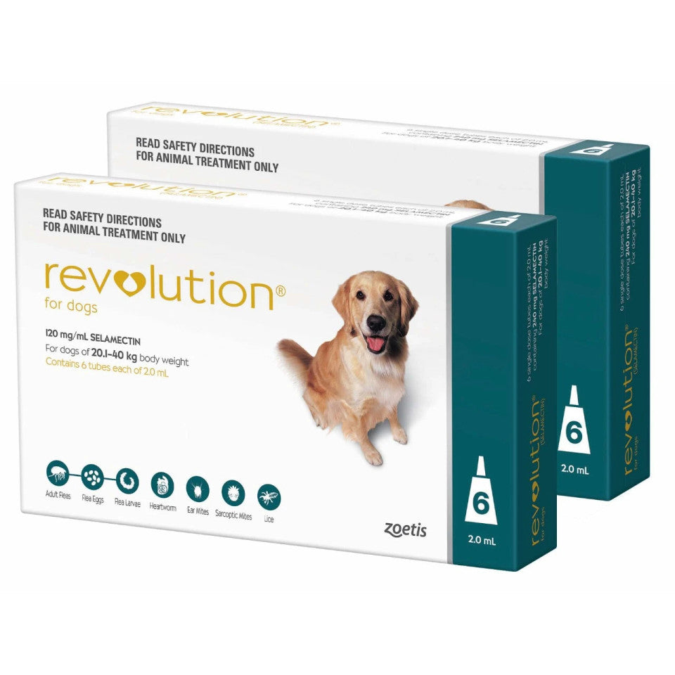 Revolution for Dogs - Trusted All-in-One Parasite Protection