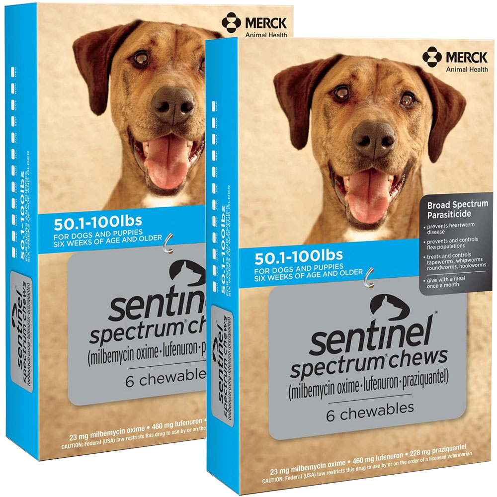 All-in-One Monthly Parasite Protection