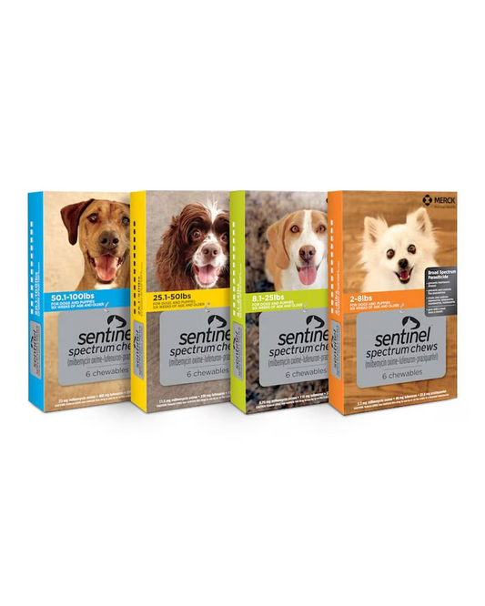 All-in-One Monthly Parasite Protection