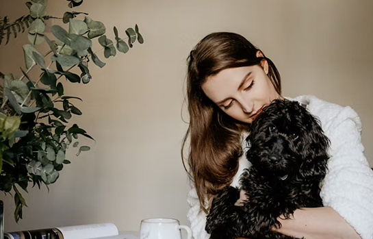 It is a long established fact that reader will be distracted