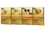 Advocate for Dogs - Monthly Spot-On Protection for Fleas, Heartworms & Worms