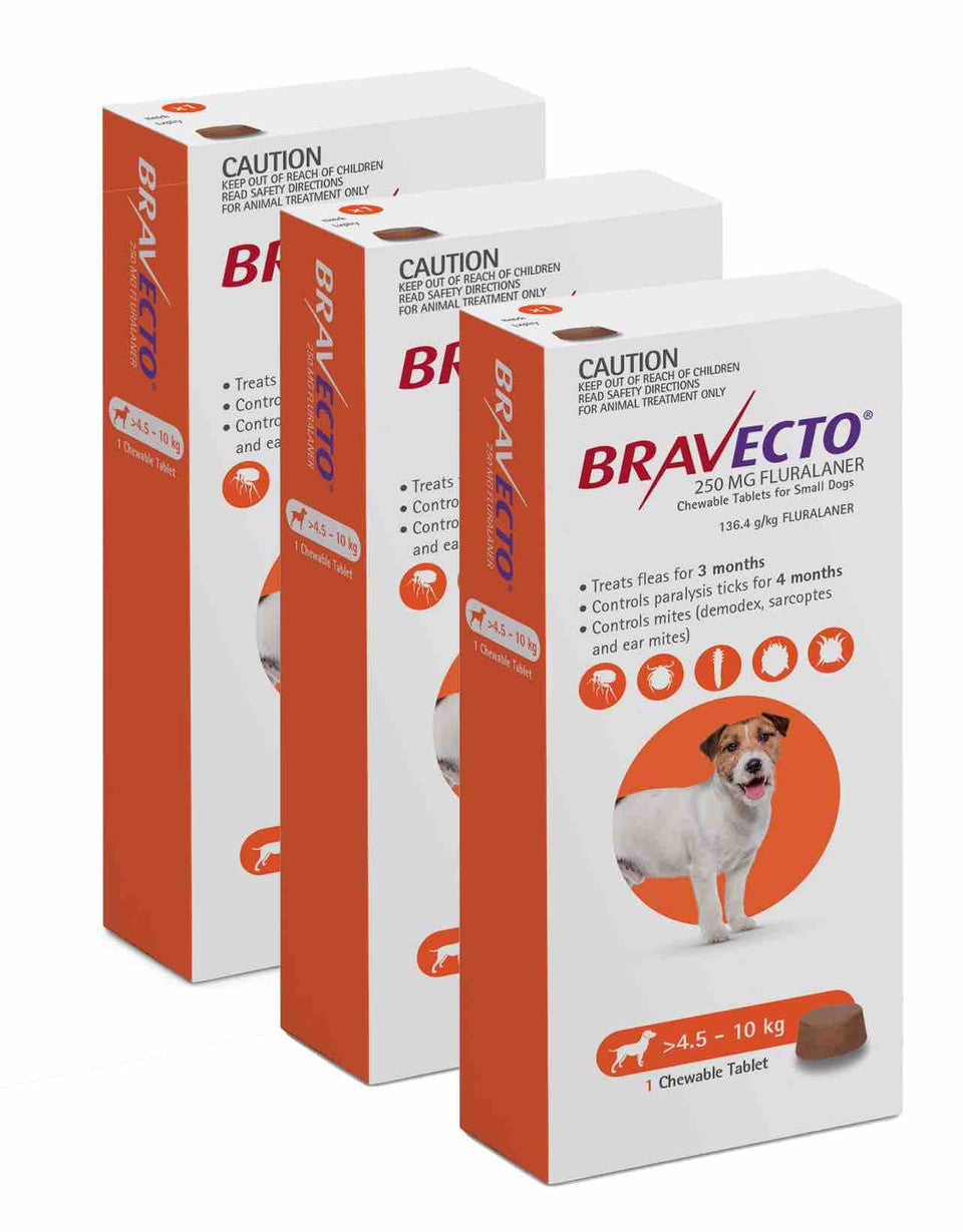 Bravecto Chew for Dogs - Long-Lasting Flea & Tick Protection