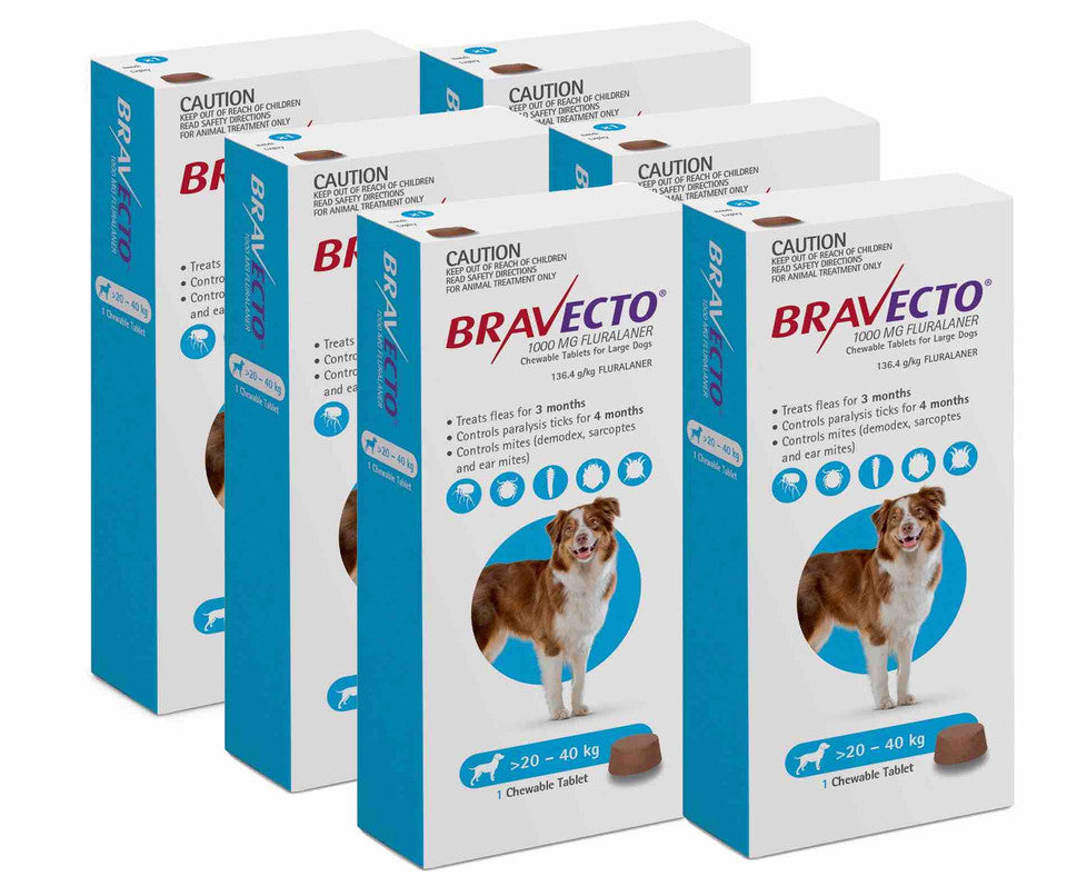 Bravecto Chew for Dogs - Long-Lasting Flea & Tick Protection