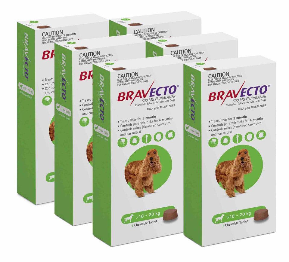 Bravecto Chew for Dogs - Long-Lasting Flea & Tick Protection