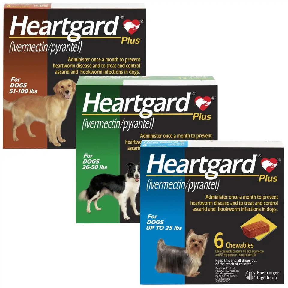 Heartgard Plus for Dogs - Monthly Heartworm & Intestinal Worm Protection