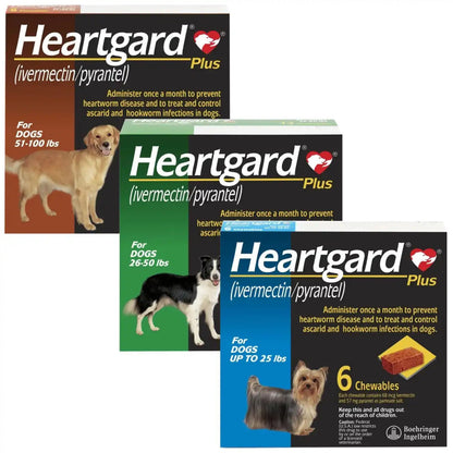 Heartgard Plus for Dogs - Monthly Heartworm & Intestinal Worm Protection