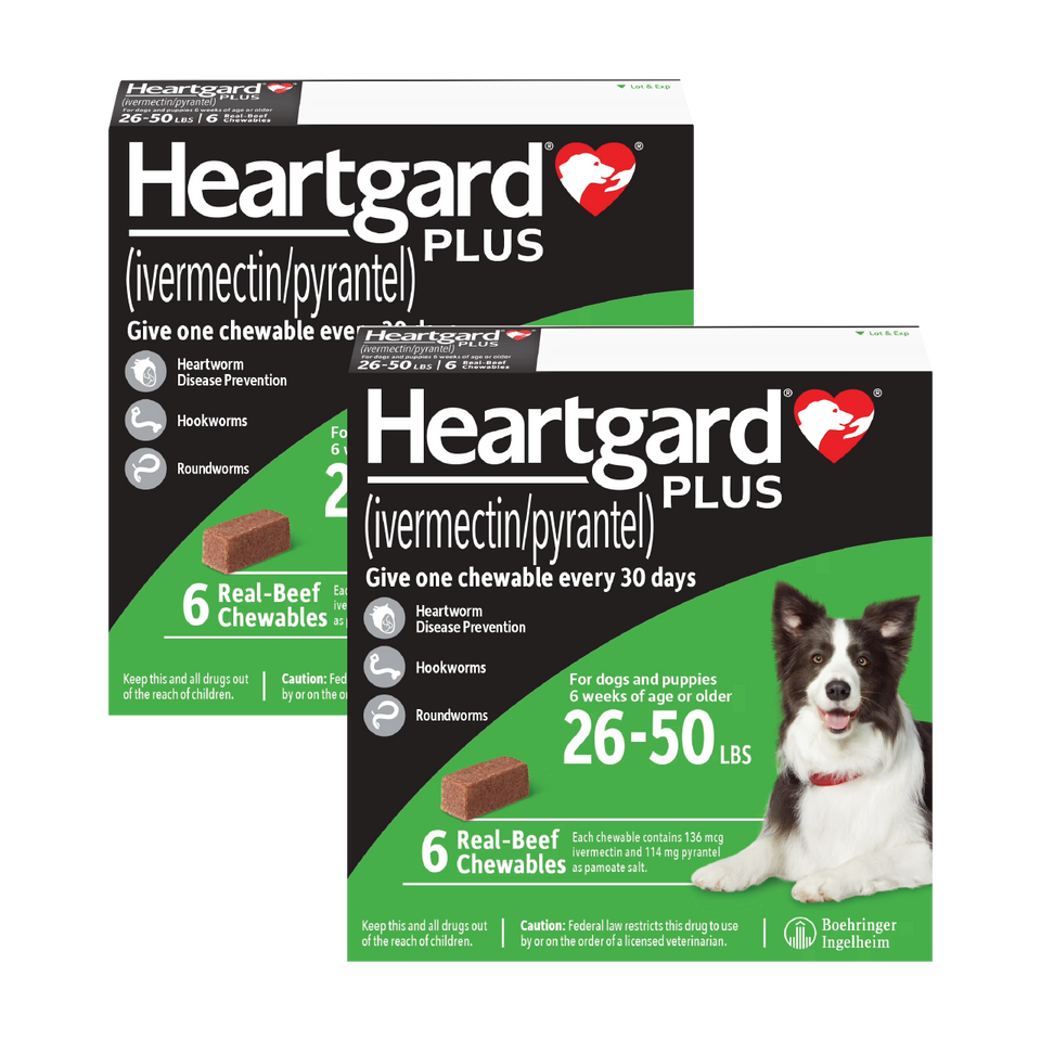 Heartgard Plus for Dogs - Monthly Heartworm & Intestinal Worm Protection