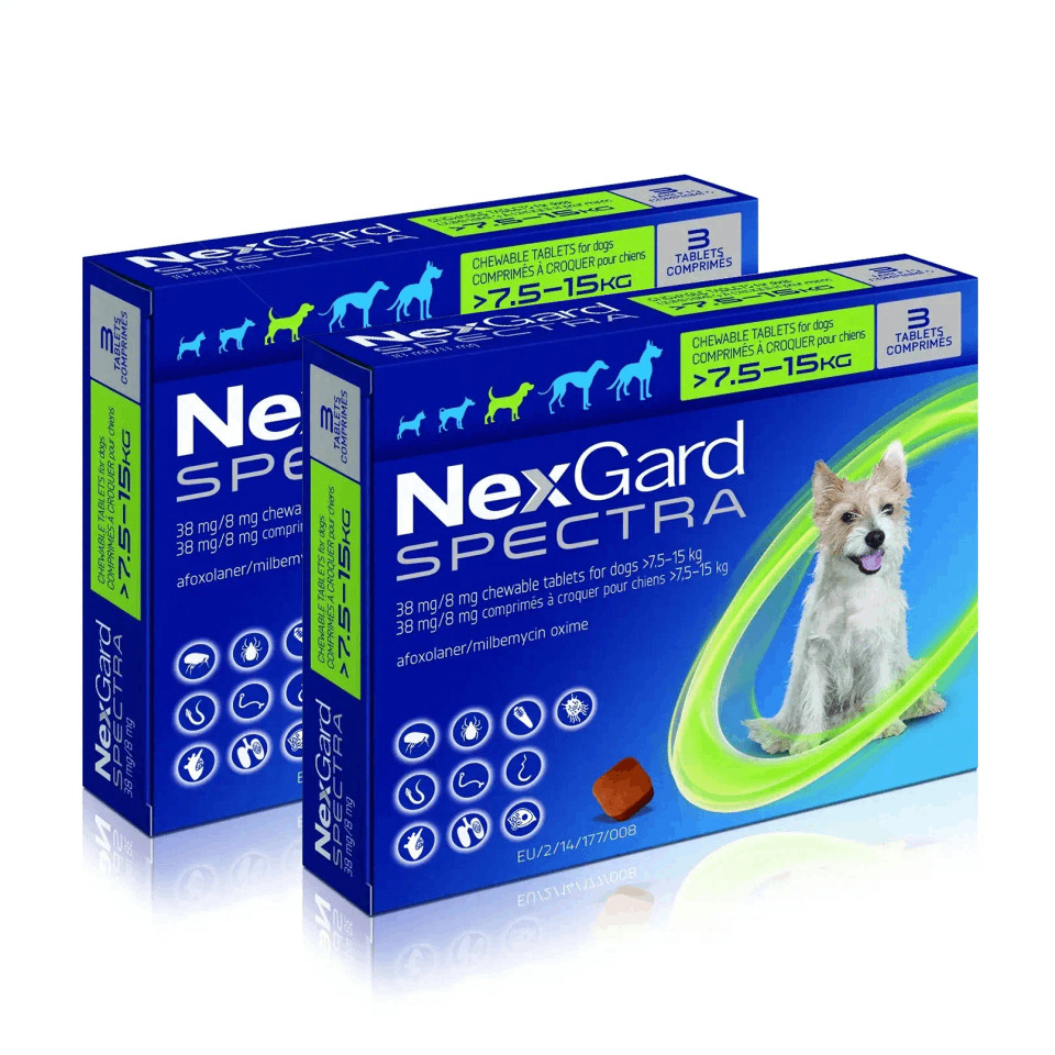 Nexgard Spectra - All-in-One Protection for Your Dog