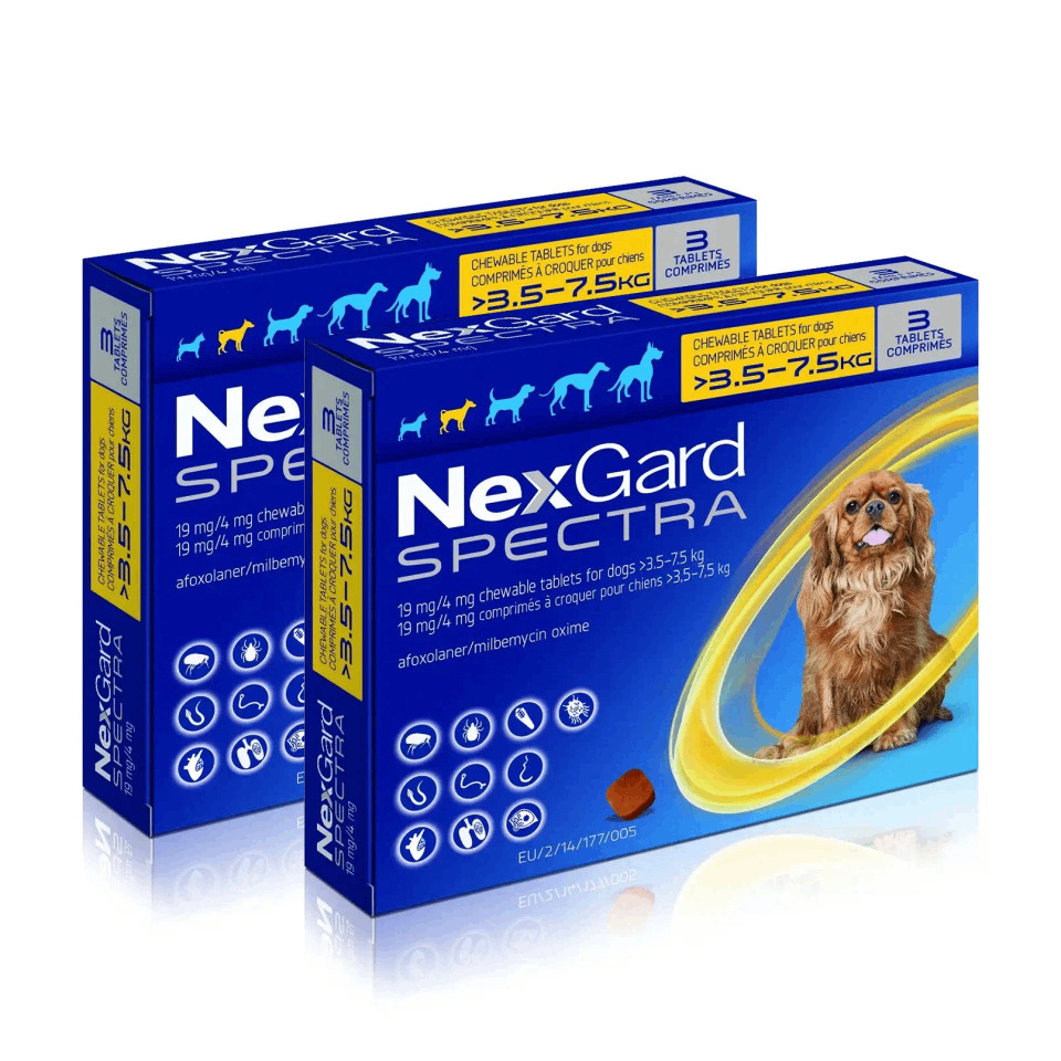 Nexgard Spectra - All-in-One Protection for Your Dog