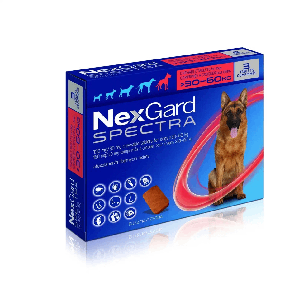 Nexgard Spectra - All-in-One Protection for Your Dog