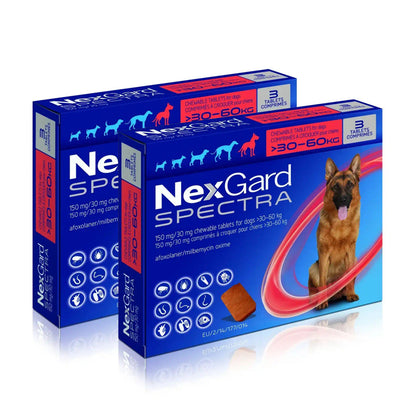 Nexgard Spectra - All-in-One Protection for Your Dog