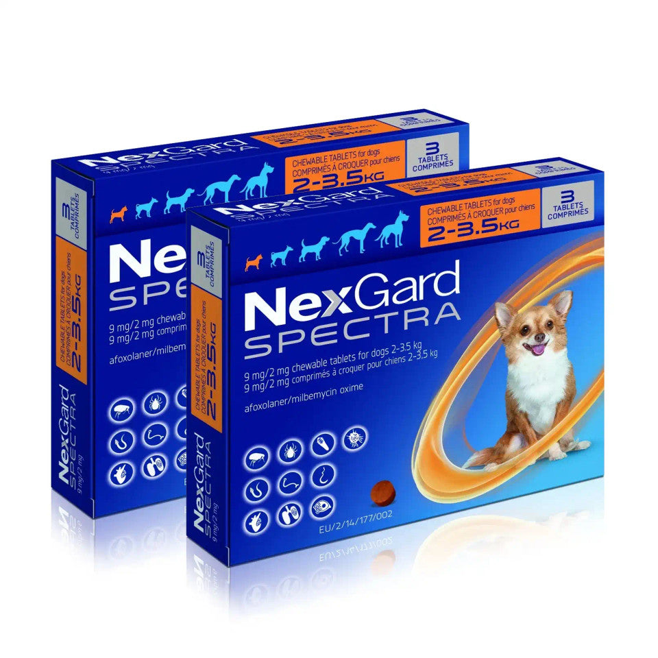 Nexgard Spectra - All-in-One Protection for Your Dog