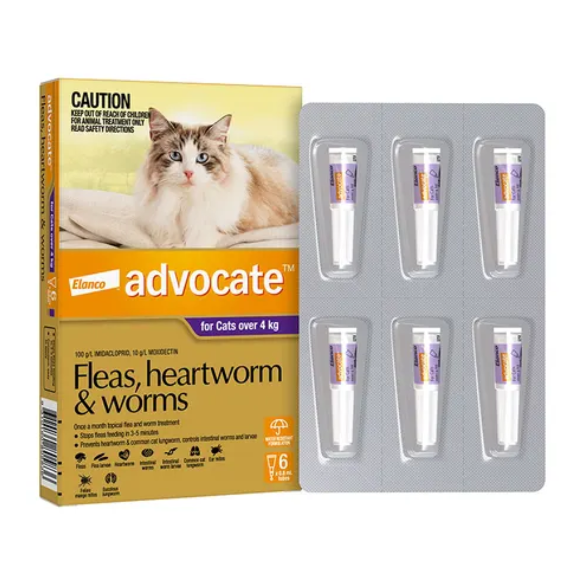 tobacco for worms in cats Bob Martin Clear Wormer 2pk May aid in and may help support the removal of tapeworm Cigarettes, Cigars, Tobacco and Nicotine