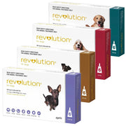 Revolution for Dogs - Trusted All-in-One Parasite Protection